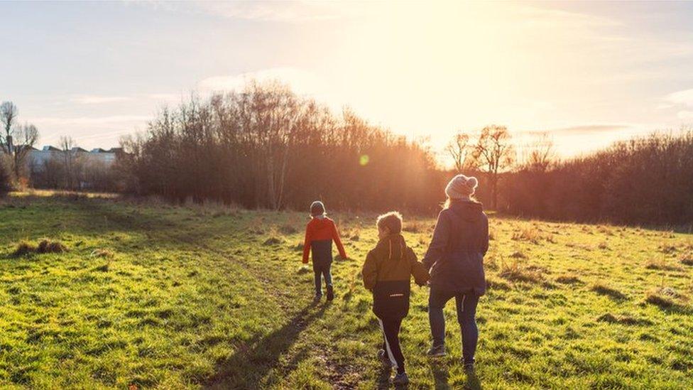 Sunny walk