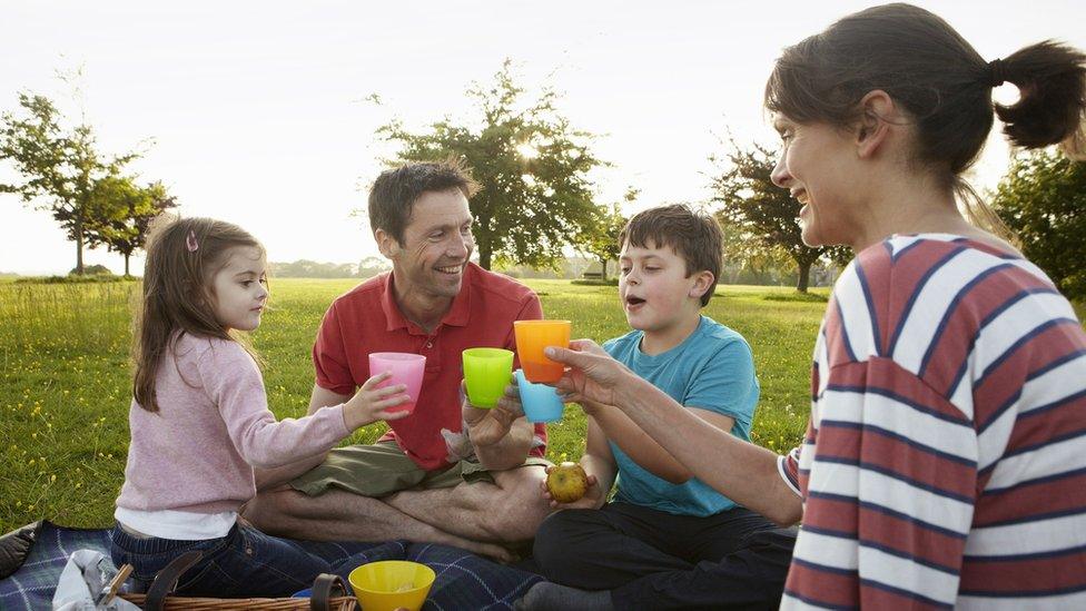 family-having-a-picnic.