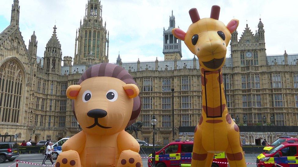 Campaigners inflated two giant balloon animals to protest the slow progress of the Hunting Trophies Bill