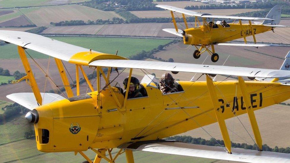 Two yellow Tiger Moths in flight