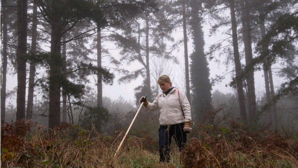 Nicola Urquhart searching a forest