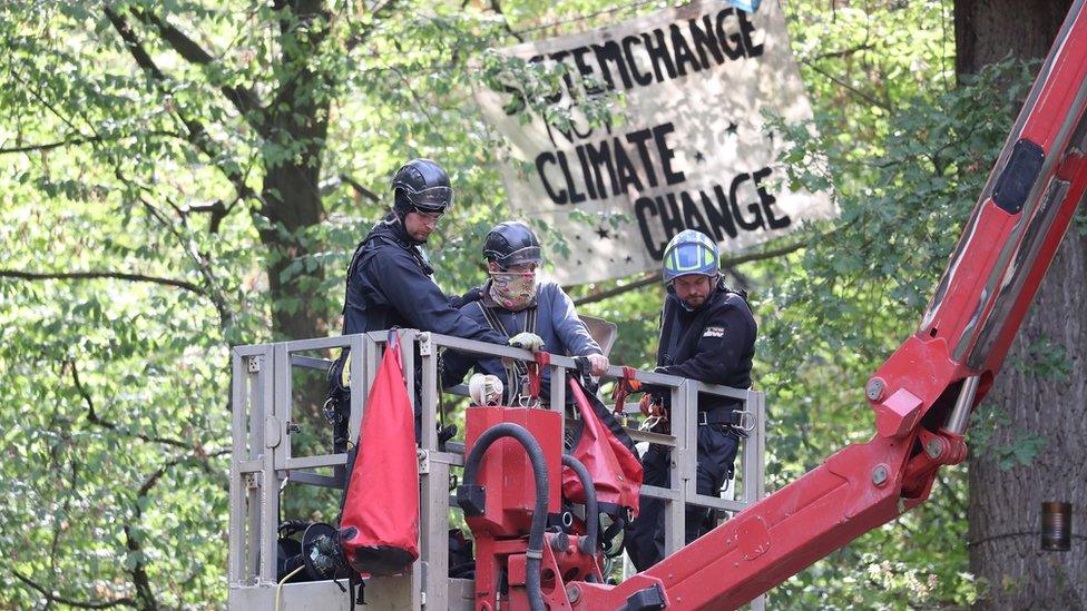 Police bring down an activist from a tree