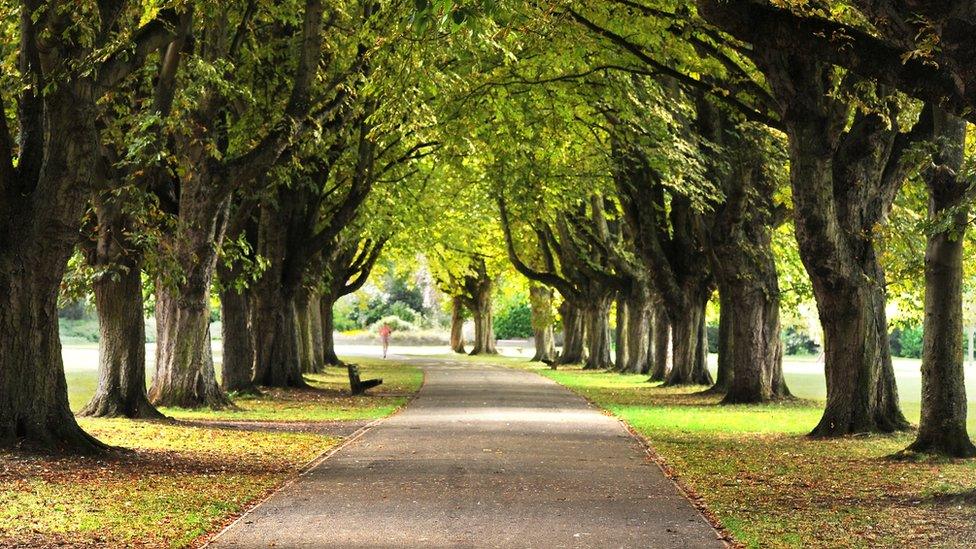 Park in Oxford