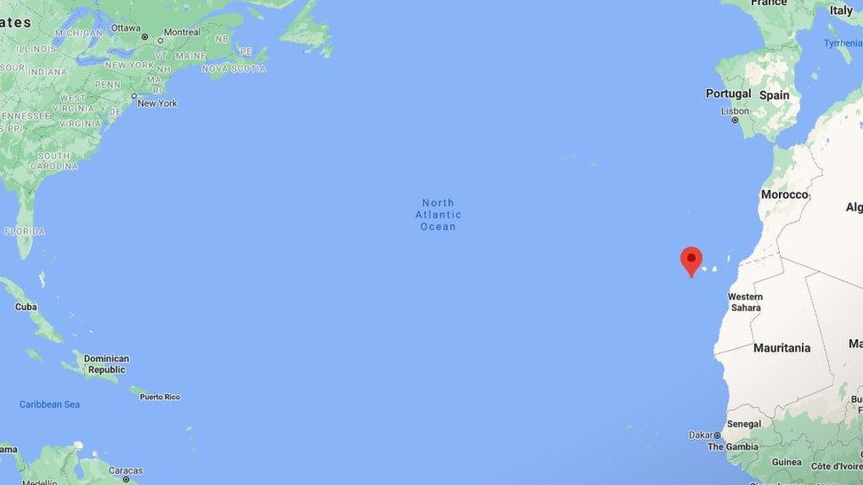 Google map showing whale spotting location