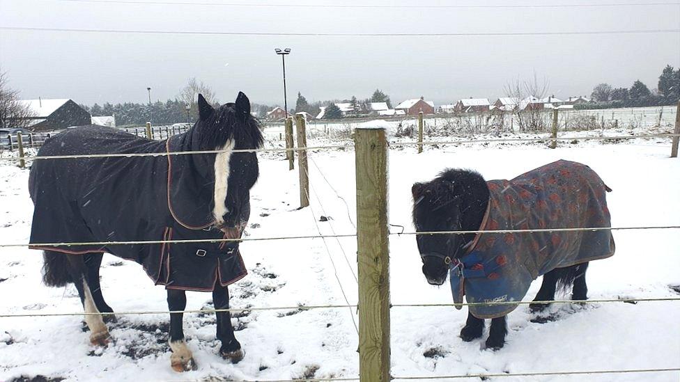 Snow fell in Greenisland, County Antrim