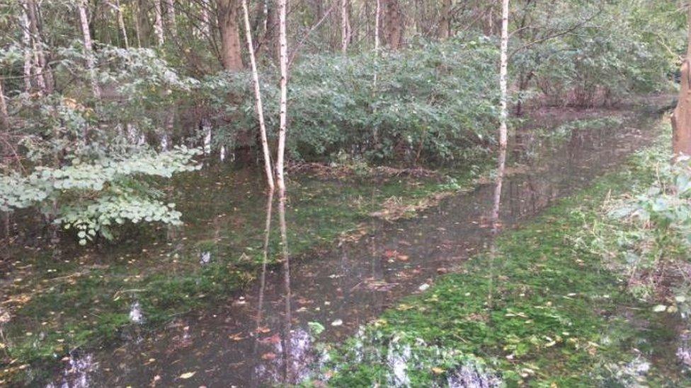 Flooding from burst pipe on Hackney Marshes