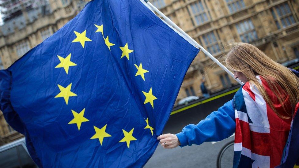 An anti-Brexit protester outside the Houses of Parliament