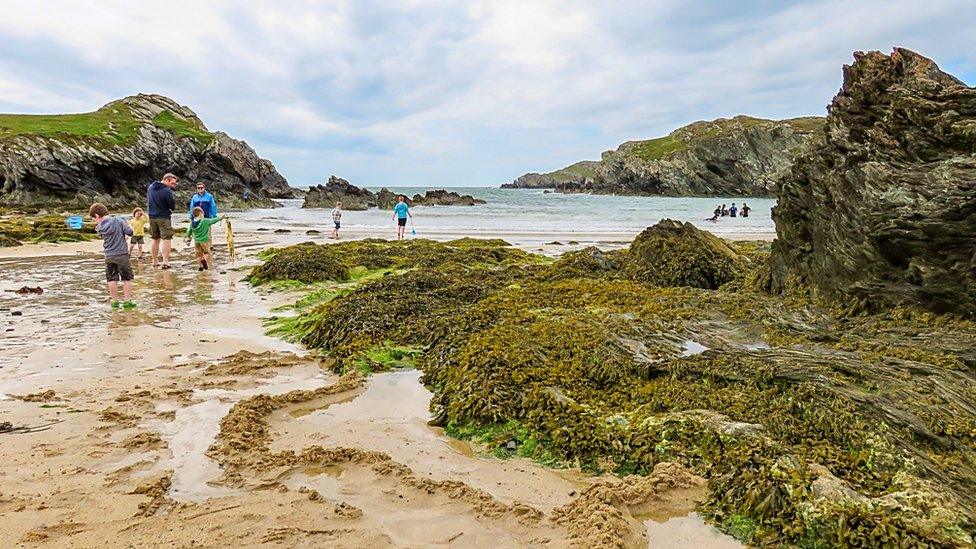 Mel Bloor-Steen, of Llandudno, took this picture of Dafarch Beach, Anglesey.