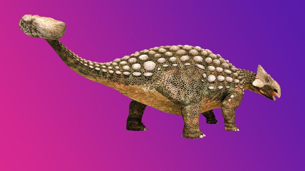 Anklyosaurus