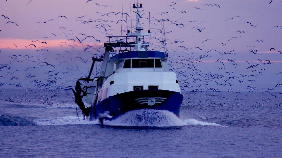 Fishing boat (generic image)