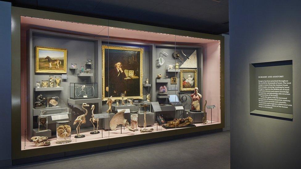 A range of items displayed in a room