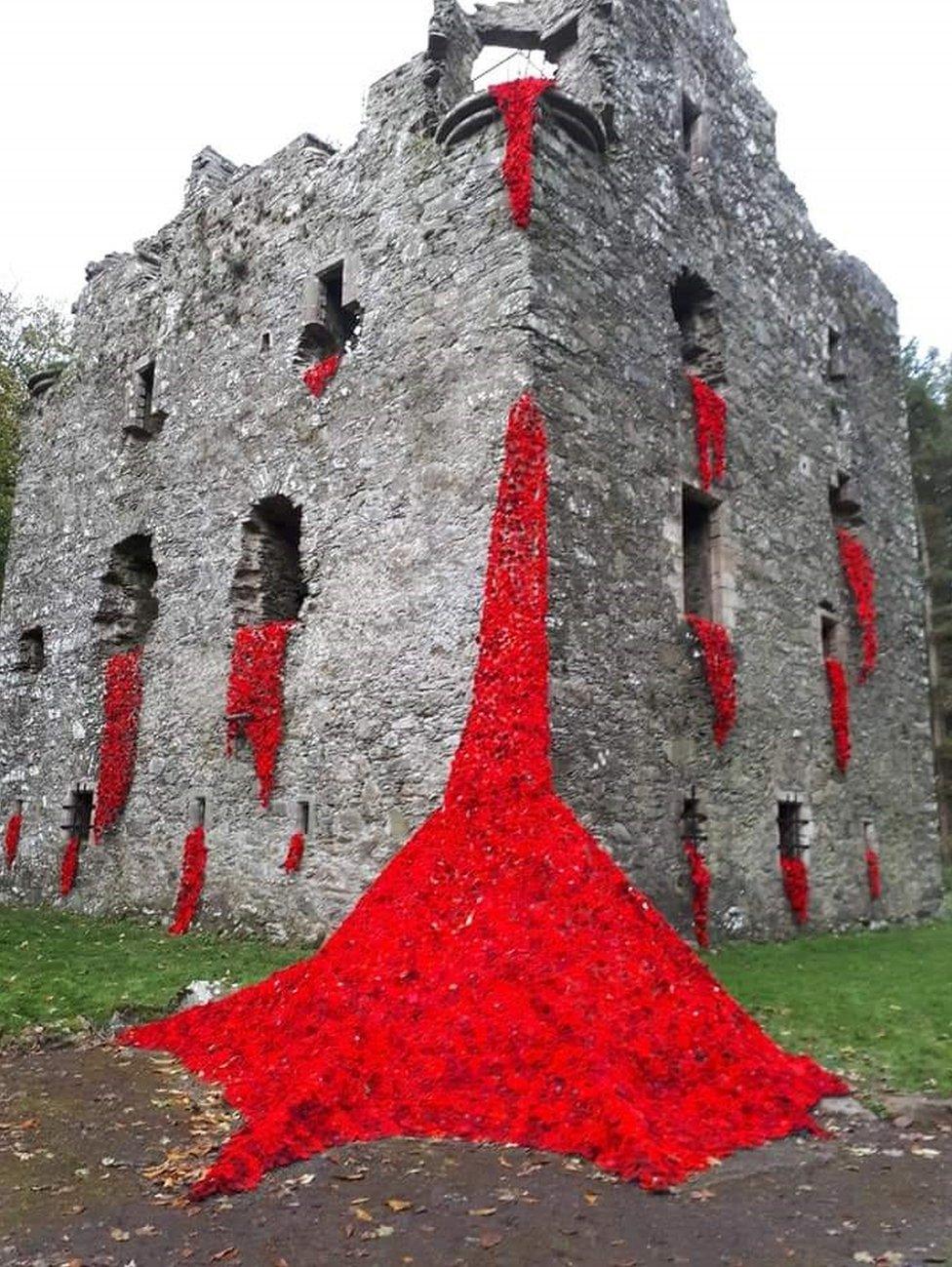 Poppies at Sorbie Tower