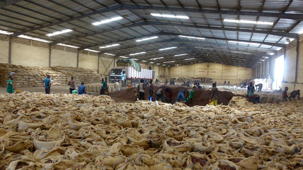 Cocoa piled up in a warehouse in San Pedro