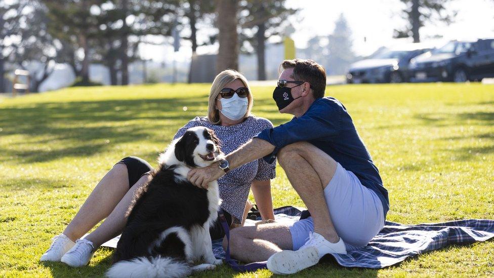 Woman and a man sit with a dog on the grass