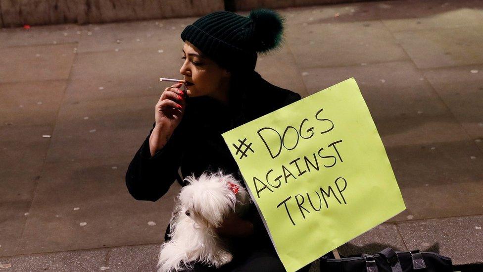 A protester and her dog at the Trump travel ban demo in London