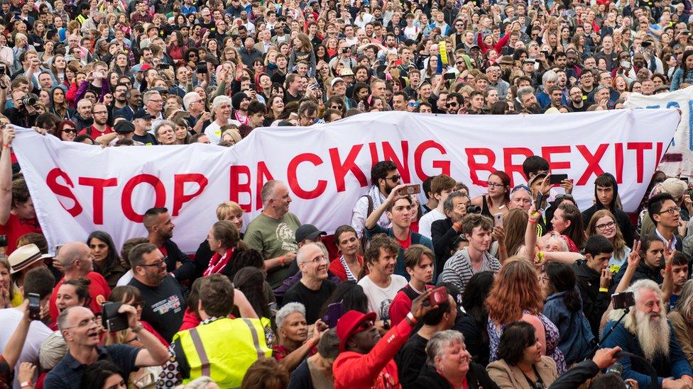 Labour Live Brexit protest