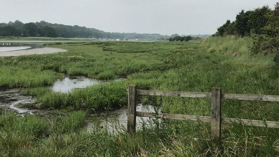 Martlesham Creek