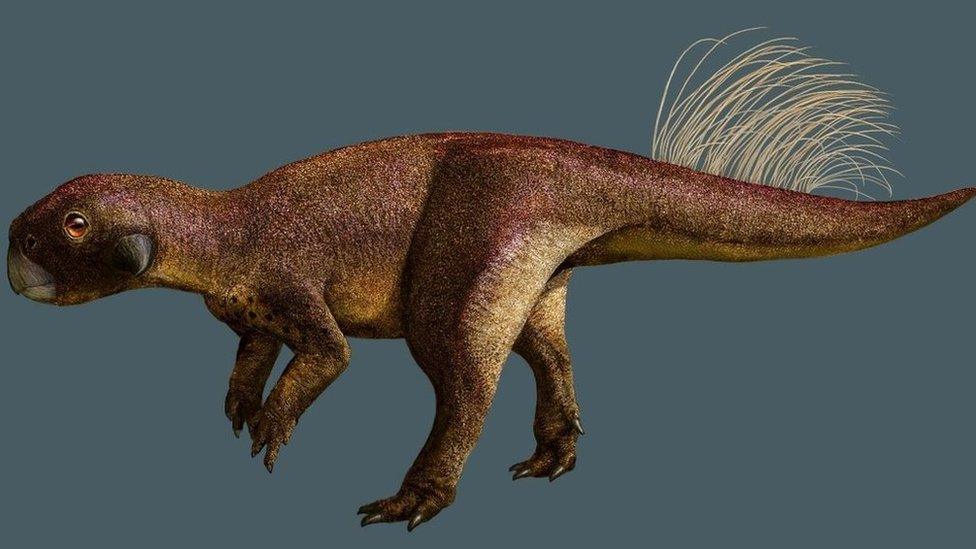 psittacosaurus.