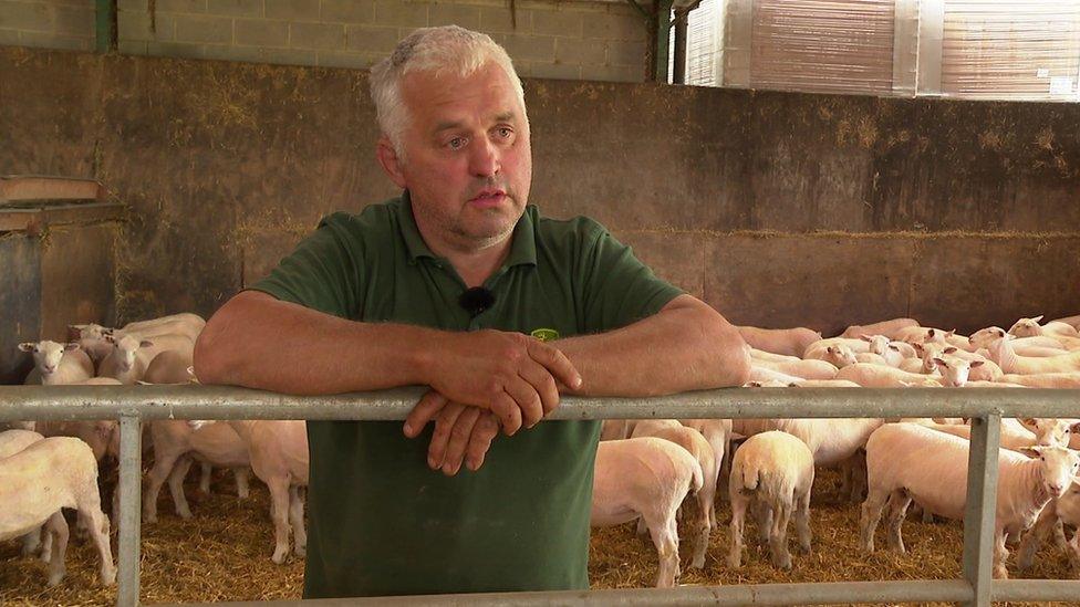 Farmer with sheep in background