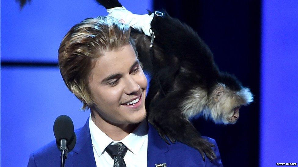 Justin Bieber and his monkey Mally