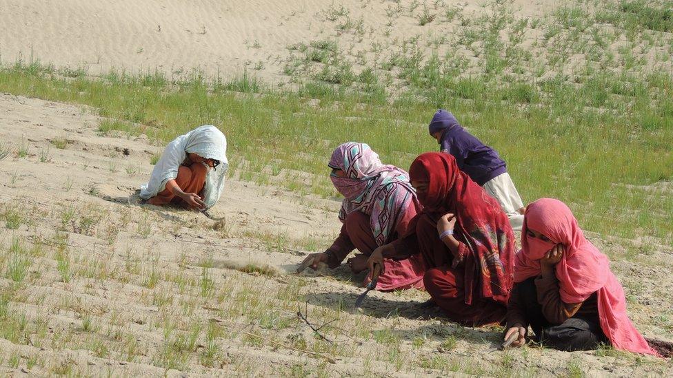 Women weed and hoe a field in Mahni