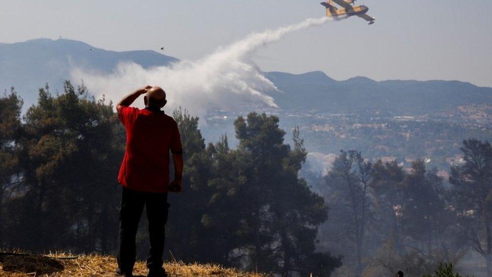 A firefighting airplane makes its way to combat the wildfire near the village of Rodopol