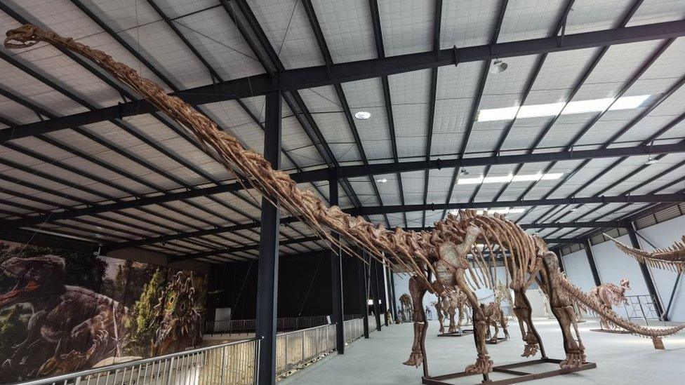 A giant skeleton of another sauropod - Mamenchisaurus - which 39 meters in length and 15 meters in height, is on display at Chongzhou Tianyan Museum in China