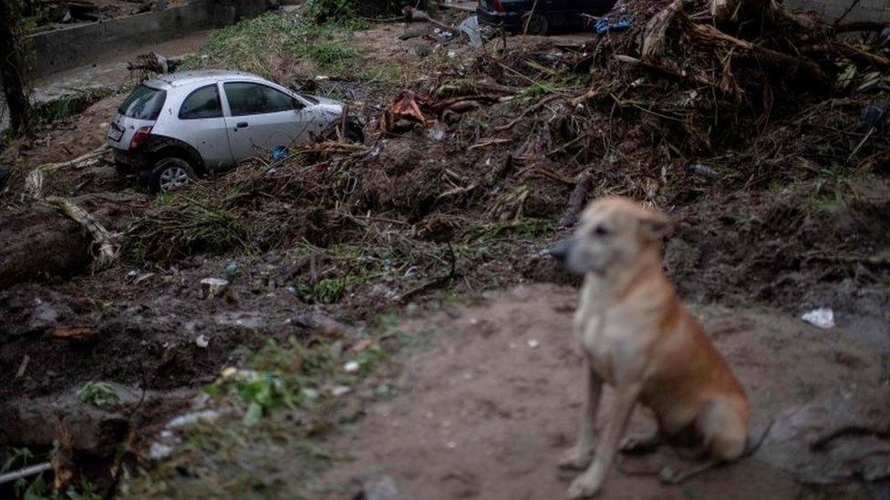 A dog sits near a damaged car after heavy rains in the Taquara neighbourhood, suburbs of Rio de Janeiro, Brazil. Photo: 2 March 2020