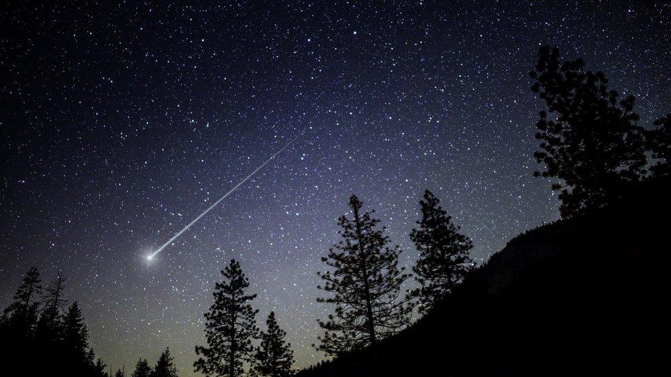 Image shows an asteroid flying across a night sky