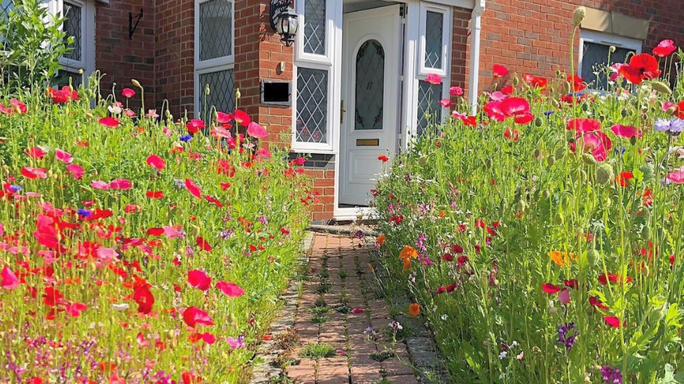 Meadow front garden in Cheltenham