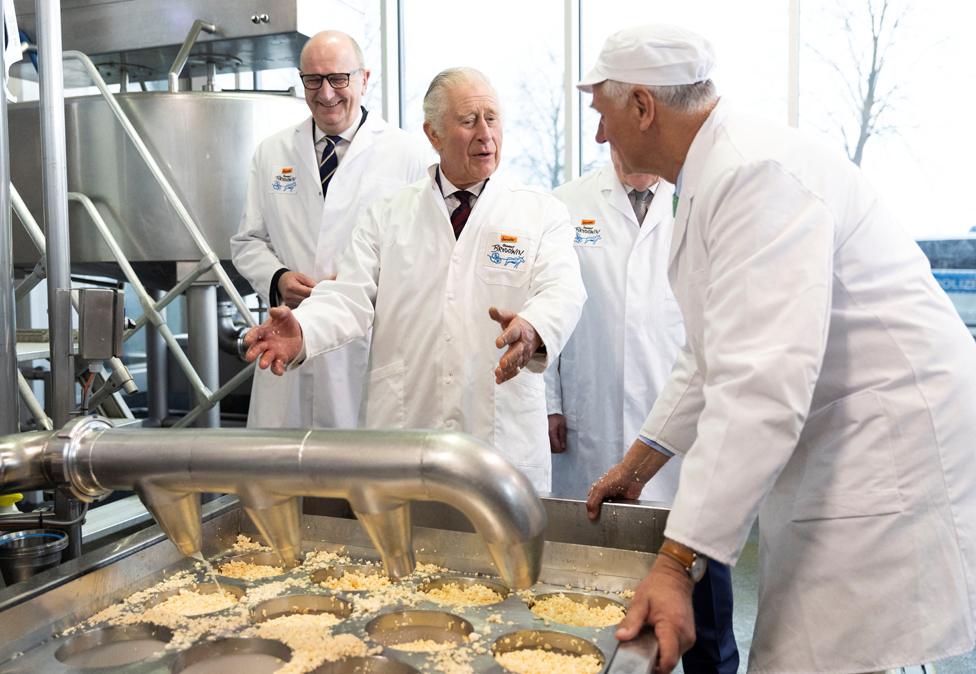 Brandenburg, Germany. King Charles III has a go at cheese making during a visit to an organic farm in Brandenburg, Germany,