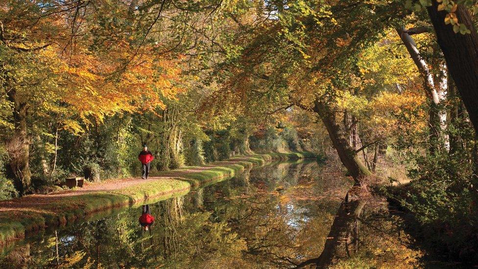 A man walking along the canal at Goytre Wharf