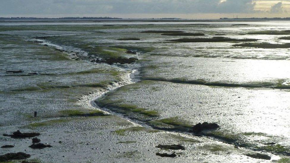 Langstone Harbour