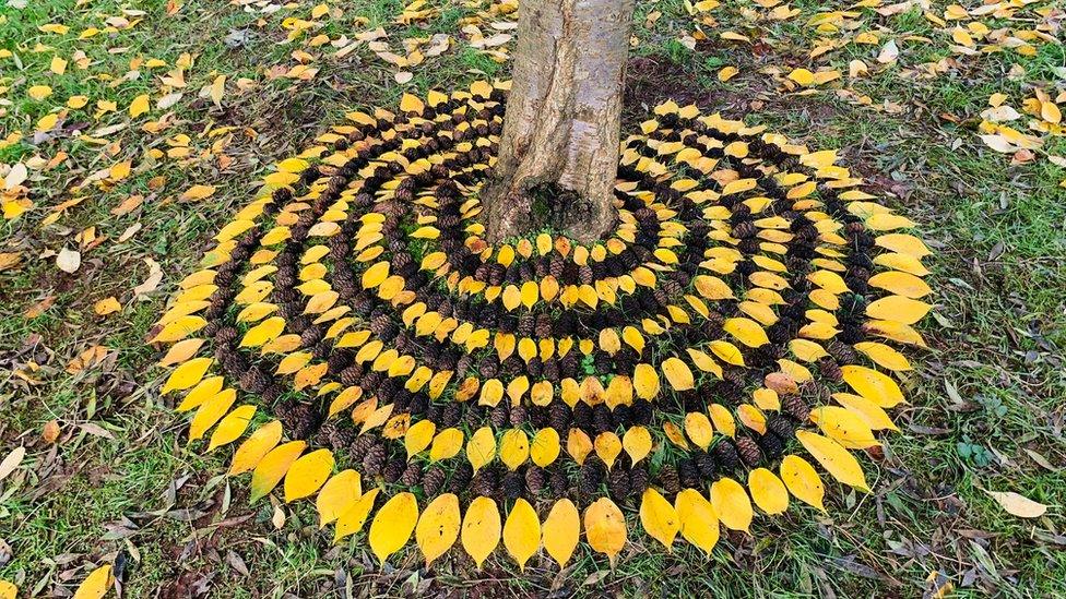 A land sculpture using leaves and pine cones that has been designed around the base of a tree