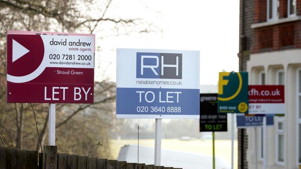 Numerous for let signs on a UK street