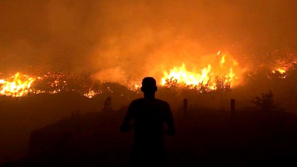 Saddleworth Moor fire