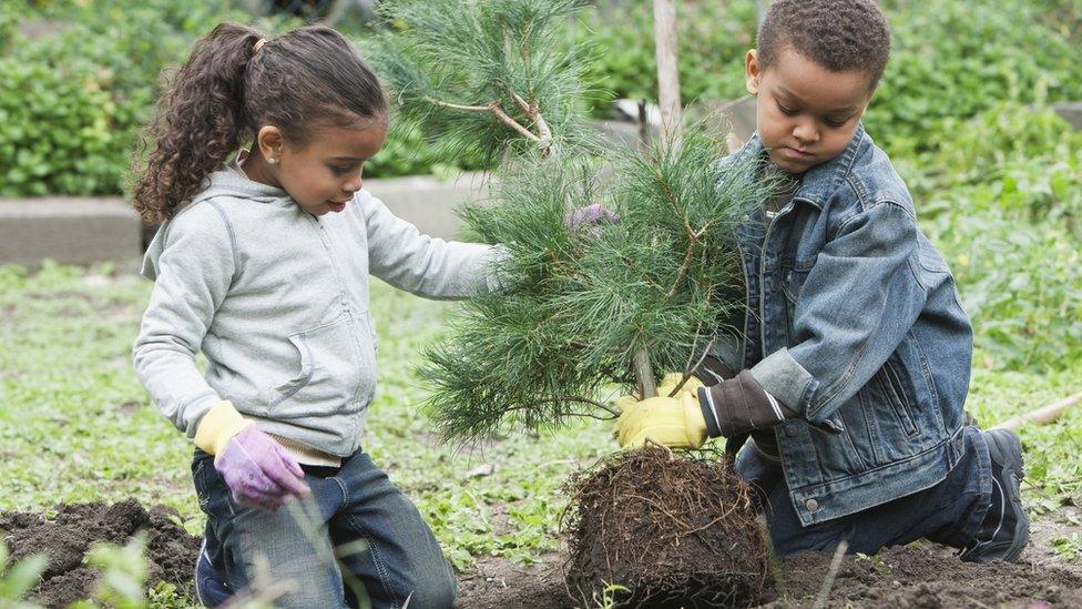 children-planting-trees