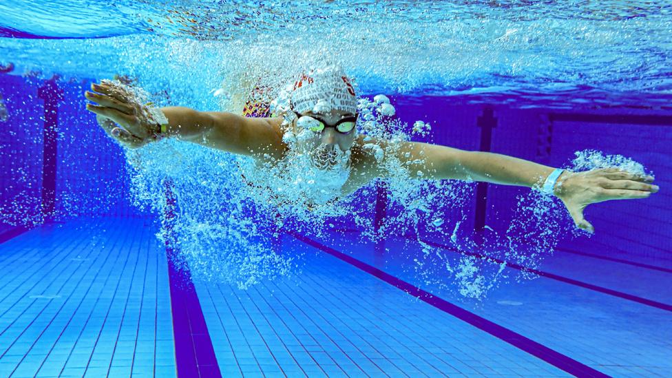 A person swimming under water in a swimming pool