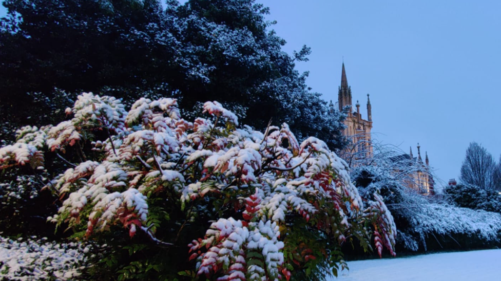 Snow ices the Ulster University Magee Campus