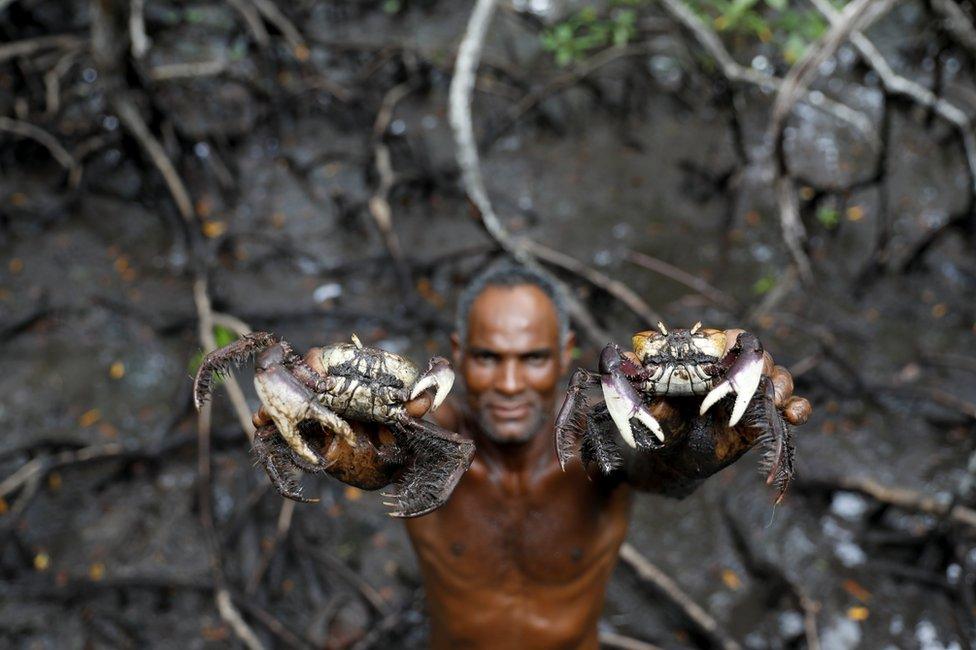 Fisherman Jose da Cruz showing crabs he has caught