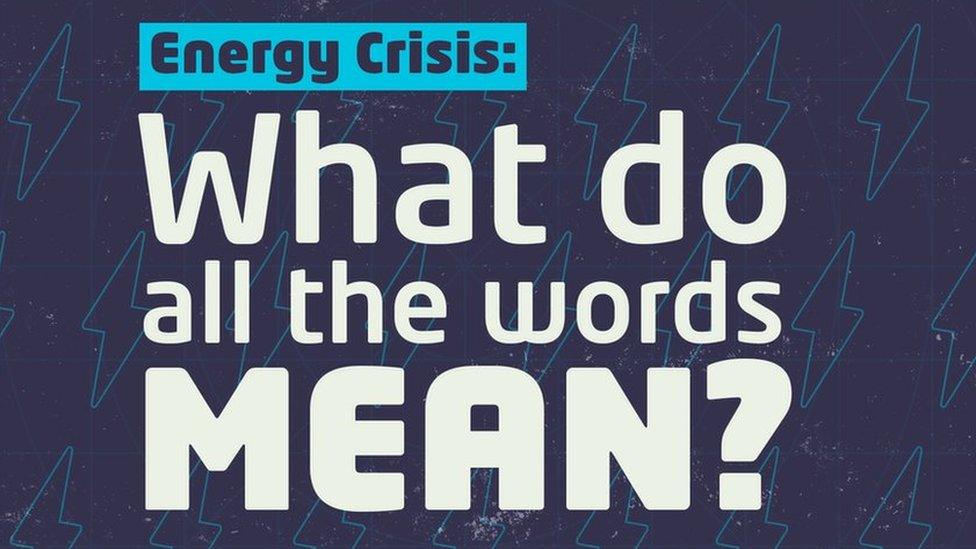 Energy crisis: What do all the words mean?