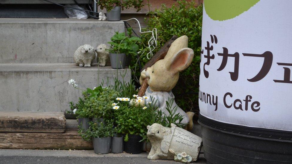 Sign for the bunny cafe in Tokyo