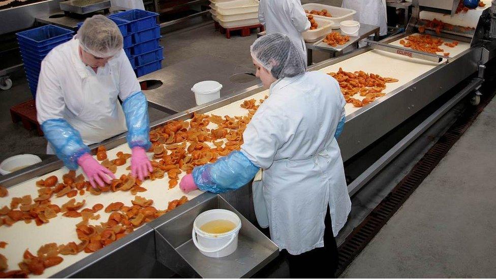 Fruit sorting on the factory line