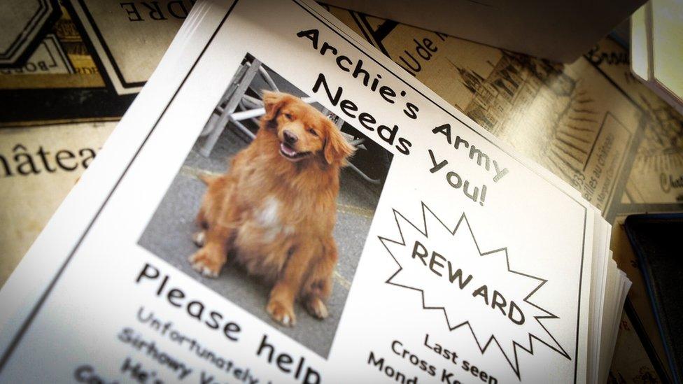 Archie the dog's missing poster