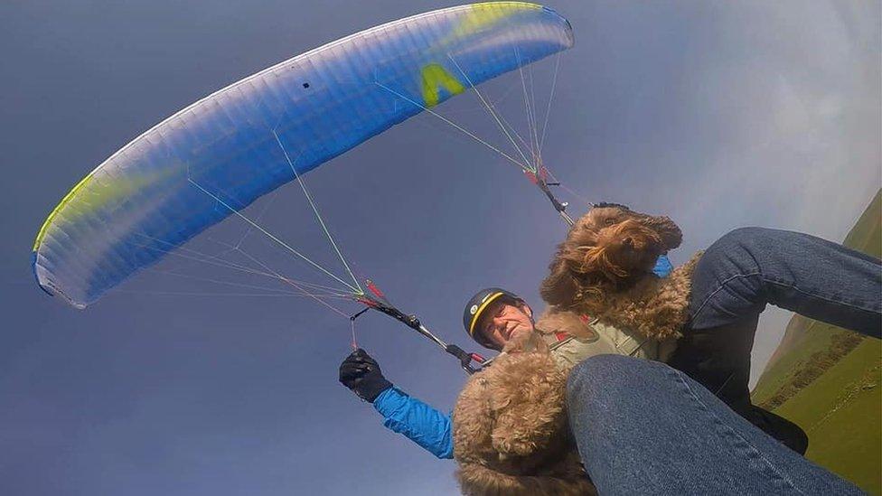 Henry the cockapoo paragliding