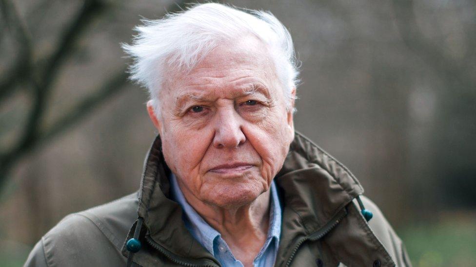 Sir David Attenborough