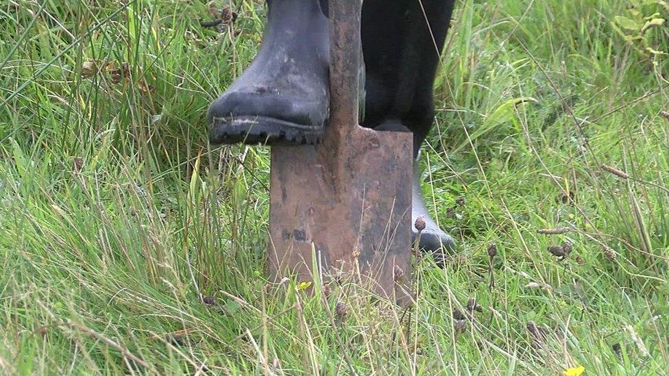 Spade going into ground with foot with welly on pushing it down