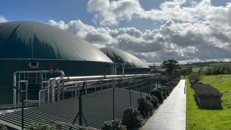 Biogas digester tanks