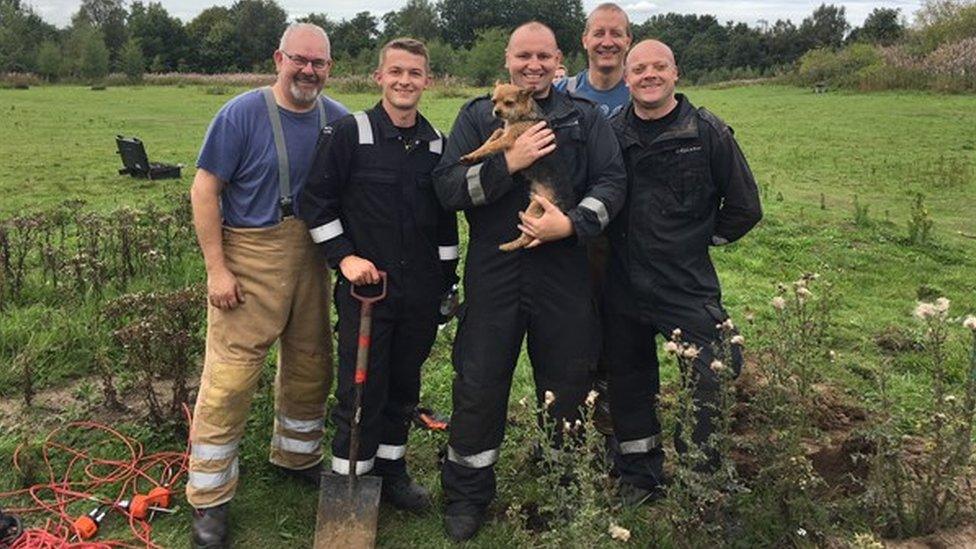 Firefighters with Bear