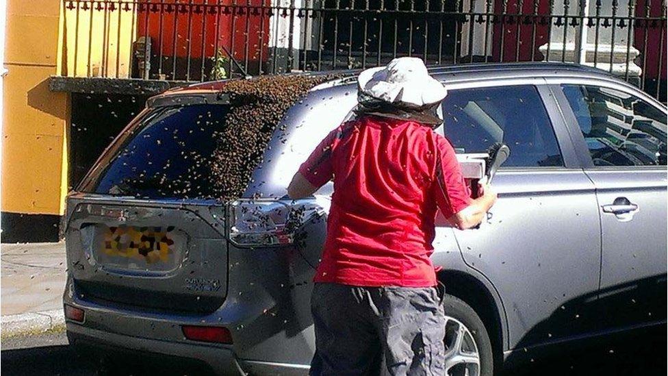 One of the beekeepers who tried to help collect the insects in Haverfordwest